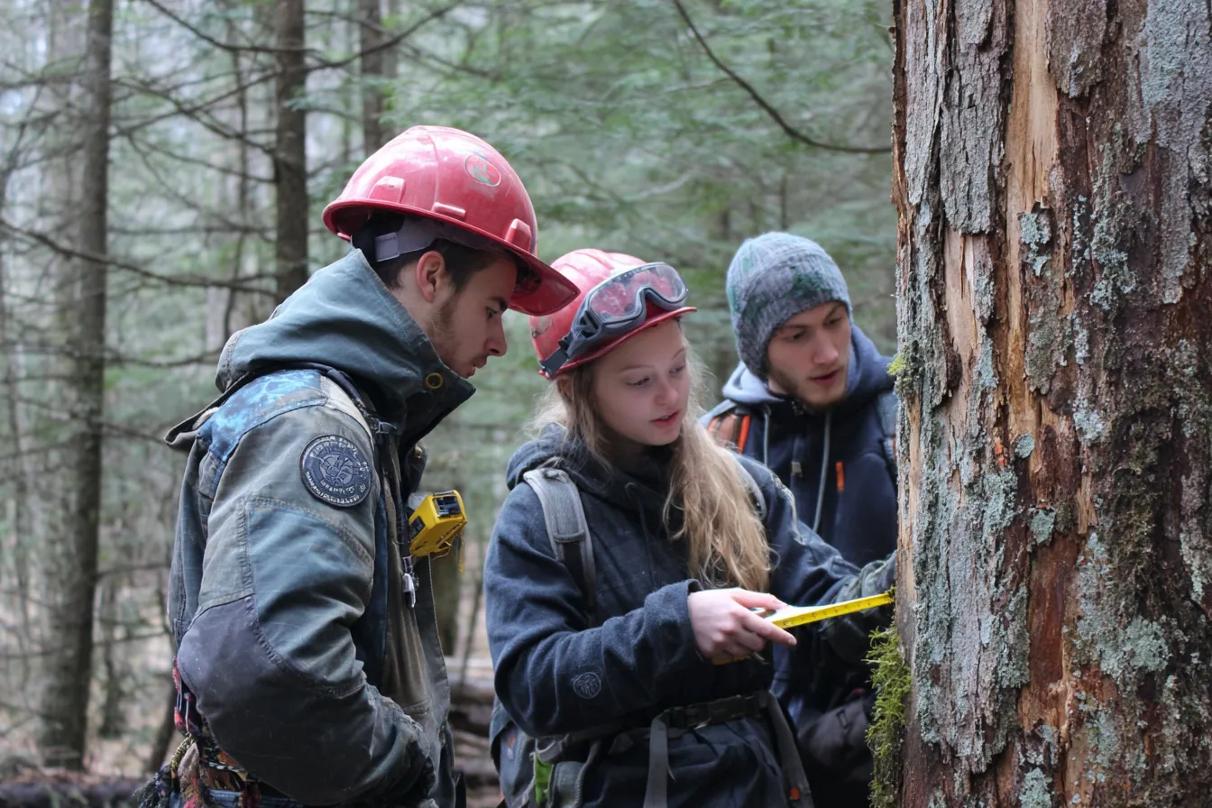 Diameter Calculator interface converting between radius, circumference, and diameter (d = 2r) with units and step‑by‑step guidance.
