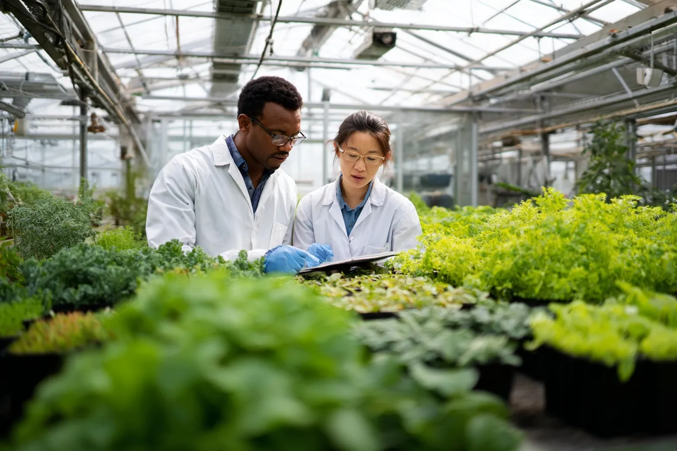 Polynomial Calculator — add, subtract, multiply, divide, and simplify polynomials with clear step‑by‑step work.